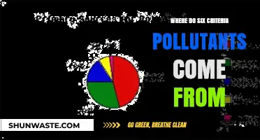 Six Criteria Pollutants: Sources and Origins