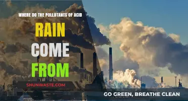 Sources of Acid Rain Pollutants: Understanding the Origins