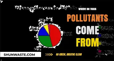 Toxic Pollutants: Sources and Origins