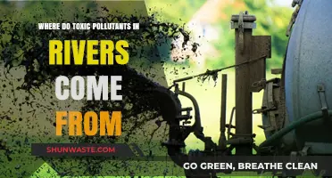 Toxic River Sources: Industrial, Agricultural, and Human Activities