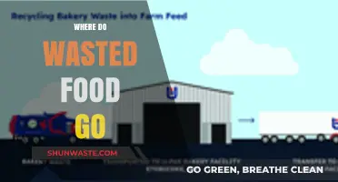 The Journey of Wasted Food: From Plate to Planet