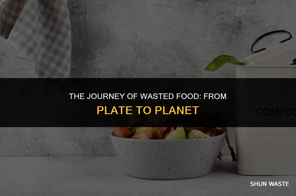 where do wasted food go