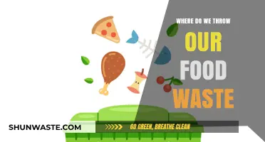 Sustainable Disposal: Rethinking Our Approach to Food Waste Management