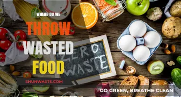 Reducing Food Waste: A Guide to Proper Disposal and Recycling