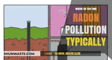 Radon Pollution: Where is it Found?