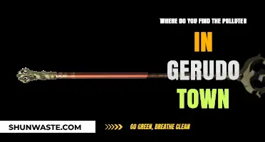 Gerudo Town: Who is the Polluter?