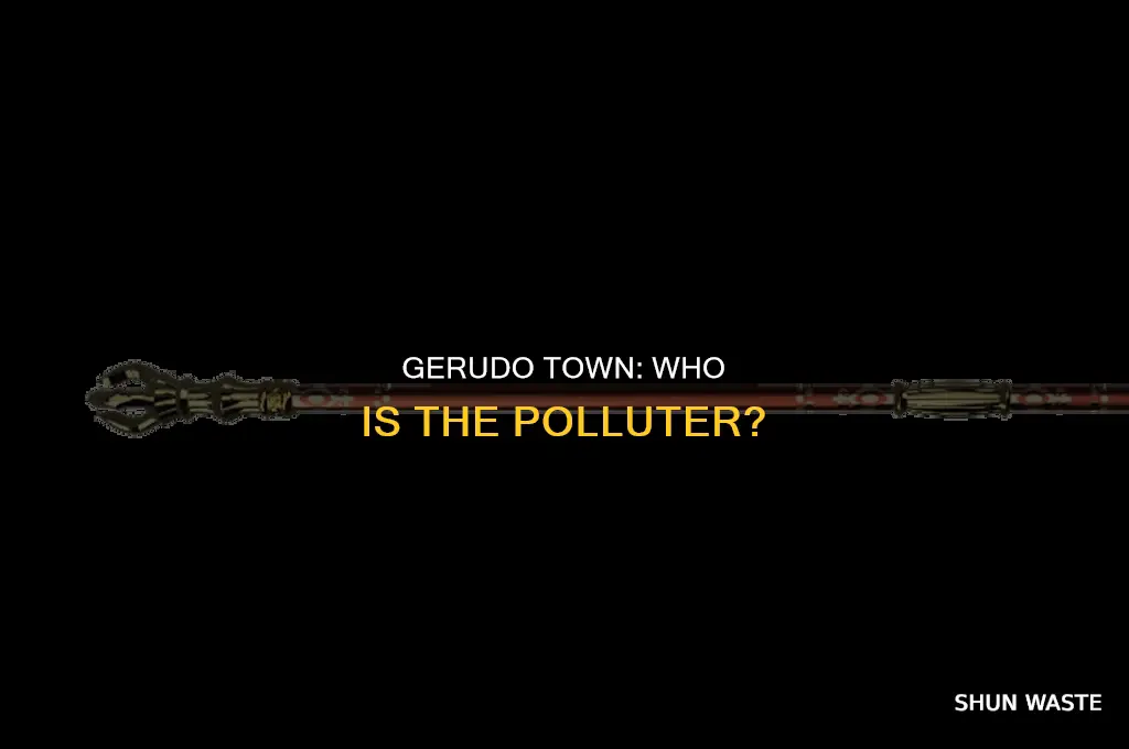 where do you find the polluter in gerudo town