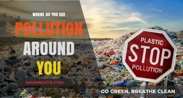Pollution's Pervasive Presence: A Personal Perspective