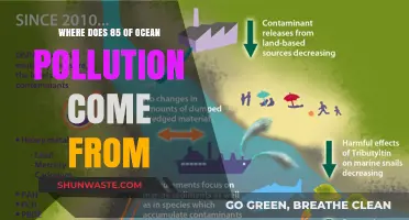 The Ocean's Pollution: Majority from Land-Based Sources