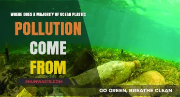 The Troubling Sources of Ocean Plastic Pollution