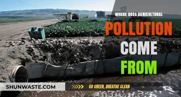 Agricultural Pollution: Understanding Its Sources and Origins