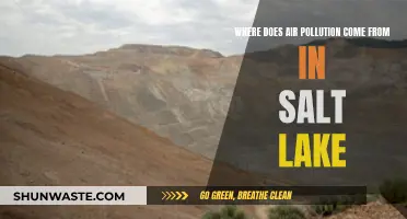 Salt Lake's Air Pollution: What's the Source?