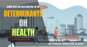 Air Pollution: A Major Health Determinant