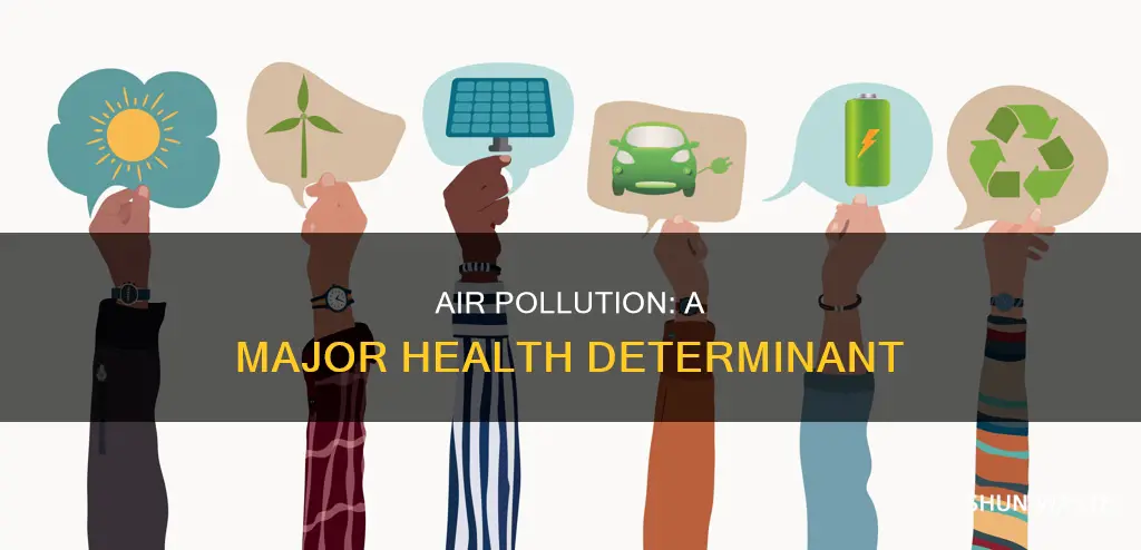 where does air pollution fall in the determinants oh health