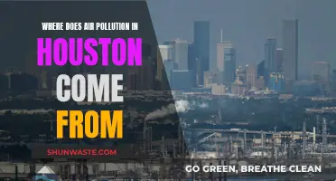 Houston's Air Pollution: What's the Main Culprit?