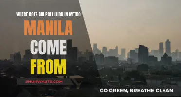 Air Pollution in Metro Manila: Sources and Solutions