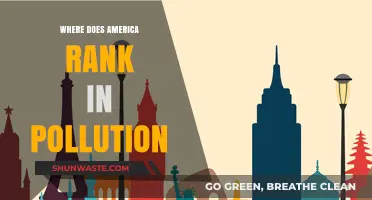 America's Pollution Rank: A Troubling Distinction