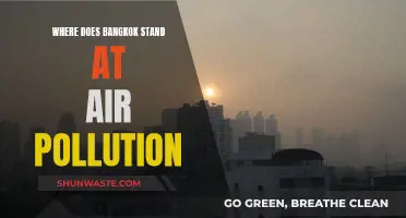 Bangkok's Air Quality: A Troubling Picture