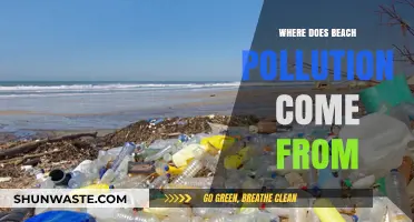 The Dirty Truth: Sources of Beach Pollution