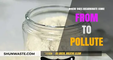 The Mystery of Bicarbonate Pollution Sources