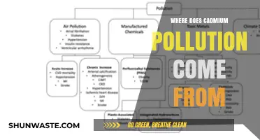 Sources of Cadmium Pollution and Their Impact