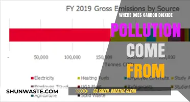 Carbon Dioxide Sources: Understanding Our Polluted Planet
