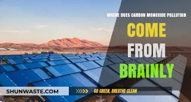 Carbon Monoxide: Sources and Their Impact