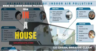 Carbon Monoxide: Sources of Poisonous Gas in Homes