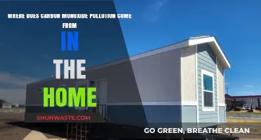 Carbon Monoxide: Sources of Home Pollution
