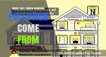Carbon Monoxide Pollution: Sources and Origins