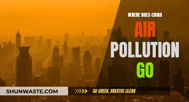 China's Air Pollution: Where Does It Go?