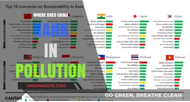 China's Pollution Problem: A Global Ranking
