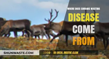 Unraveling the Origins of Chronic Wasting Disease: A Comprehensive Exploration