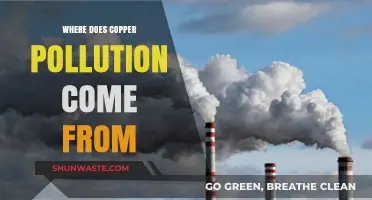 The Toxic Truth: Sources of Copper Pollution