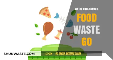 Unveiling the Journey of Council Food Waste: From Collection to Disposal