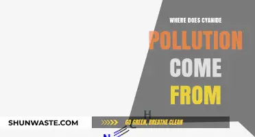 Cyanide Pollution: What Are the Main Sources?