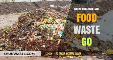 The Hidden Journey of Domestic Food Waste: From Kitchen to Landfill