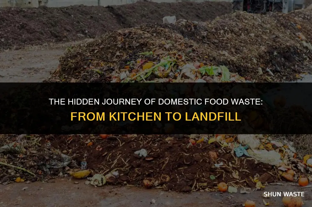 where does domestic food waste go