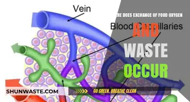Unveiling the Microscopic Marketplace: Food, Oxygen, and Waste Exchange