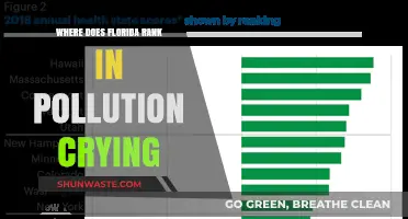Florida's Pollution Crisis: How Bad Is It?