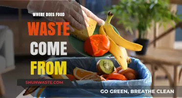 Uncovering the Sources of Food Waste: A Comprehensive Guide