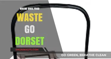 Unveiling Dorset's Food Waste Journey: From Scraps to Sustainability