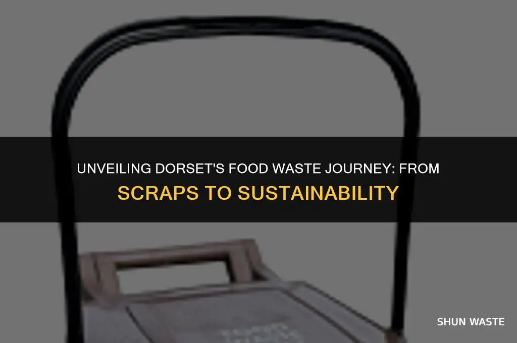 where does food waste go dorset