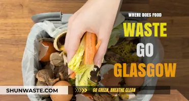 Glasgow's Food Waste Journey: From Plate to Processing