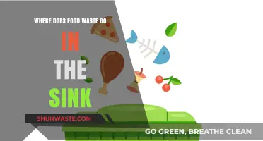 The Surprising Journey of Food Waste Down Your Sink Drain