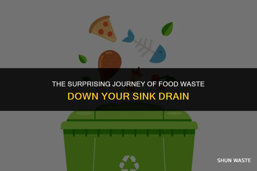 where does food waste go in the sink
