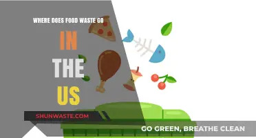 The Hidden Journey: Where Food Waste Ends Up in the US