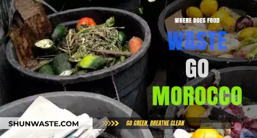 Unveiling the Journey of Food Waste in Morocco: A Sustainable Path Forward