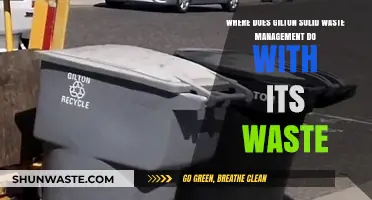 Unveiling Gilton's Waste Management: A Journey Through Disposal and Recycling