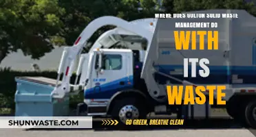 Unveiling the Journey: Golton Solid Waste Management's Path to Sustainability